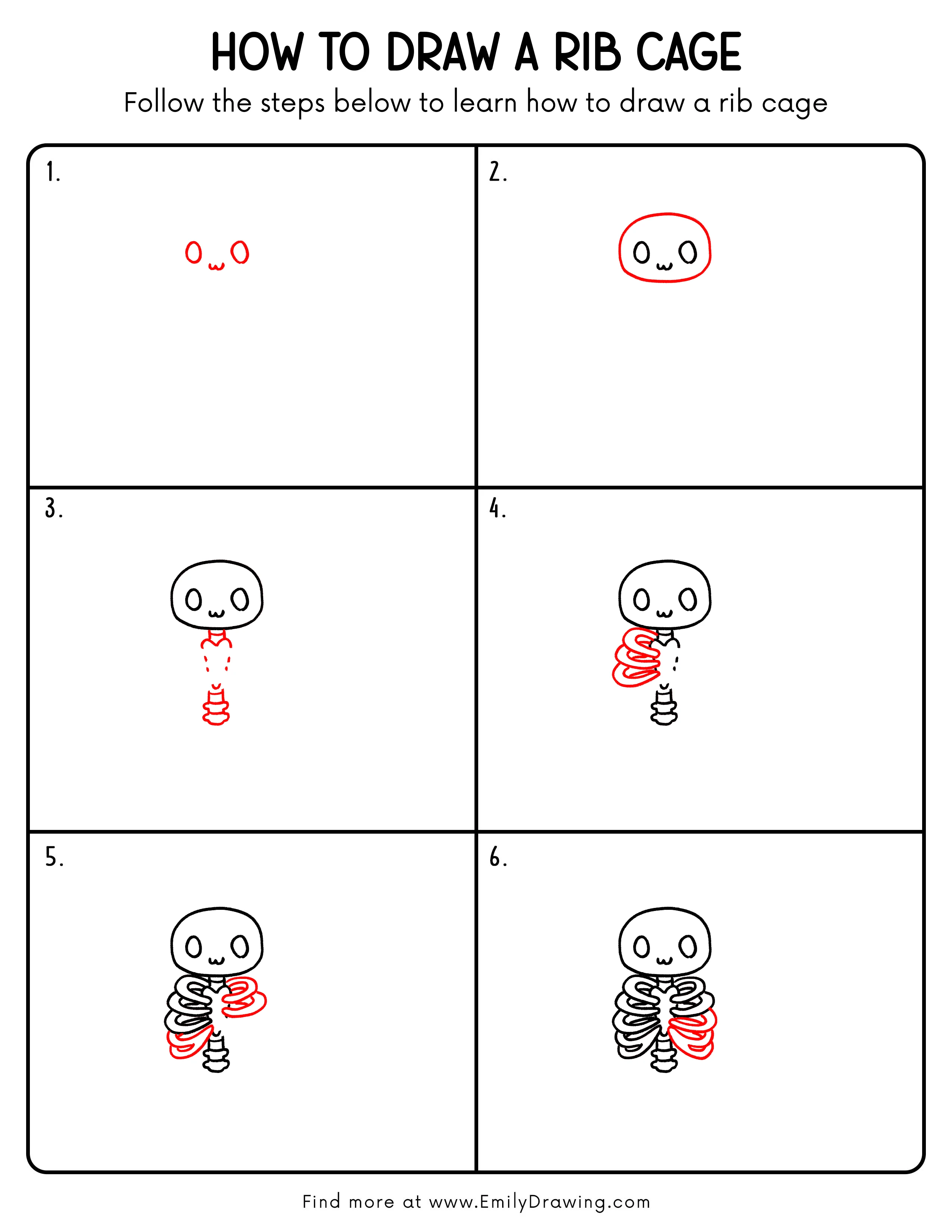 Printable Rib Cage Drawing Guide